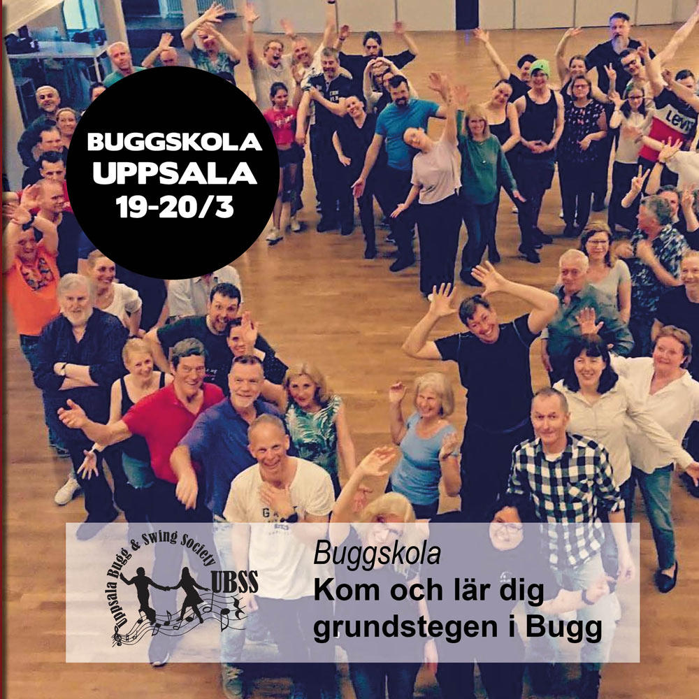 Buggkurs