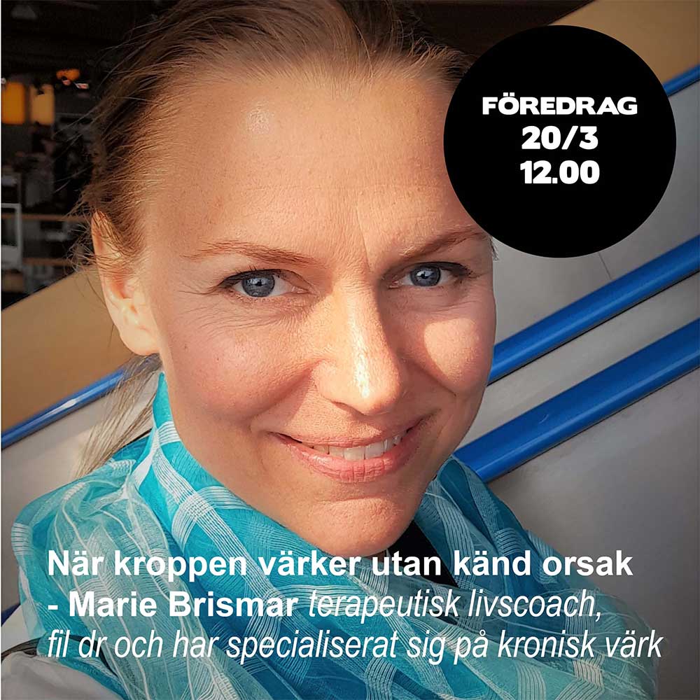 Anna Brismar föredrag