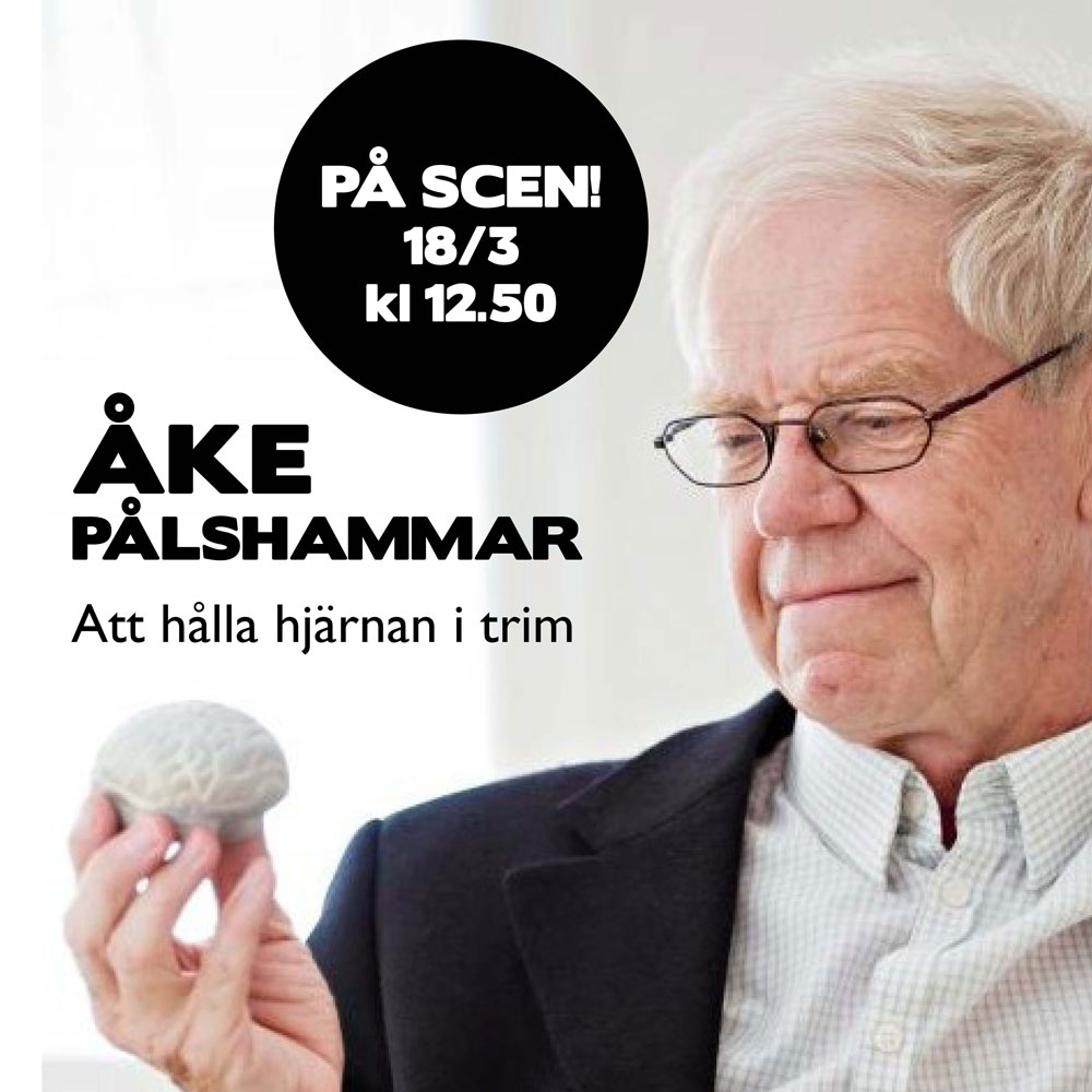 Åke Pålshammar