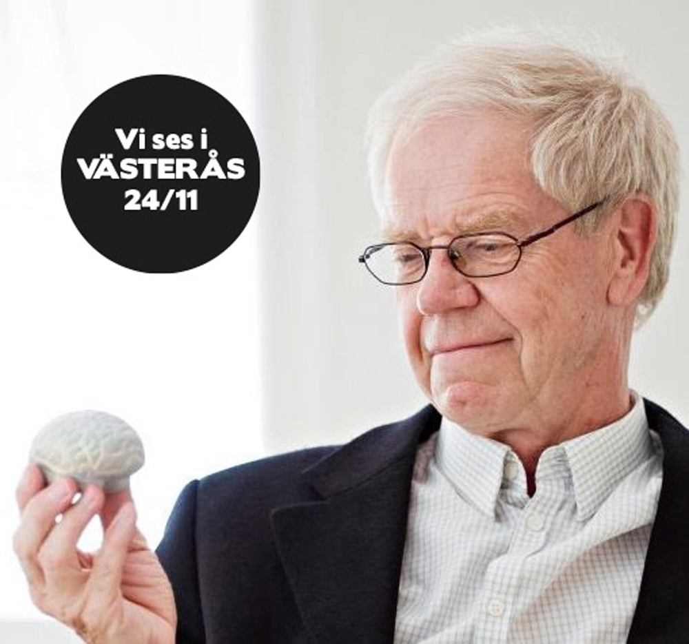 Åke Pålshammar